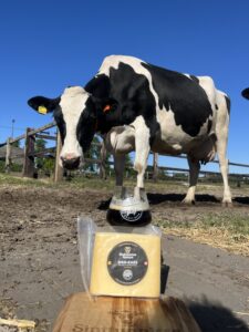 20250516 072812931 IOS 225x300