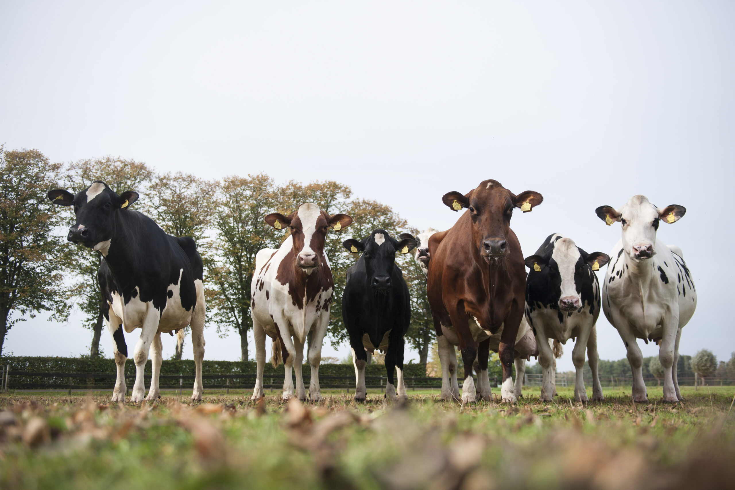 els korsten fotografie0018