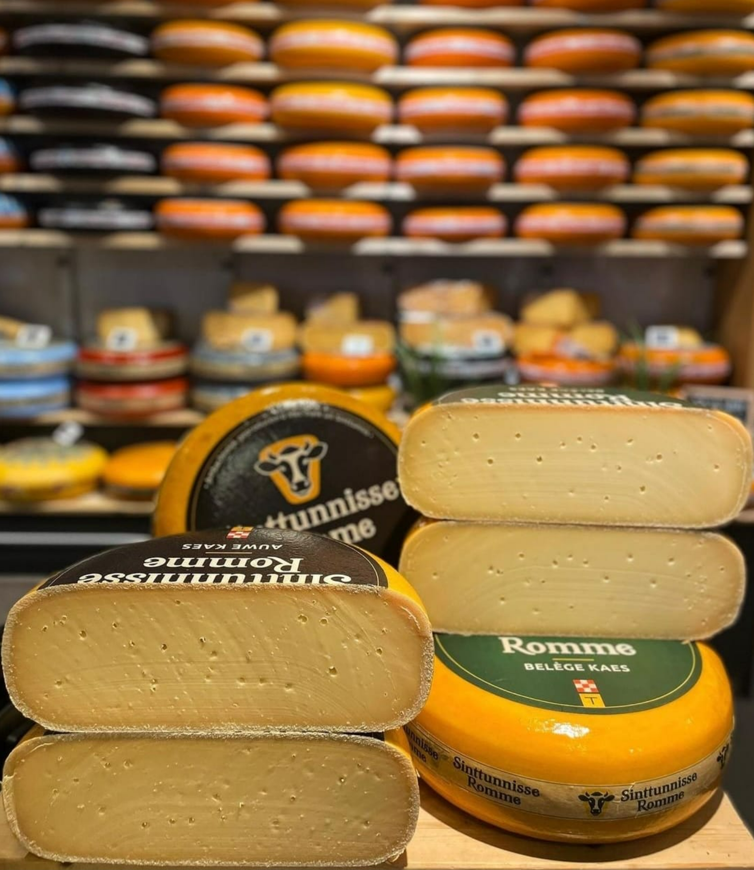 sinttunnisse kazen bronchure