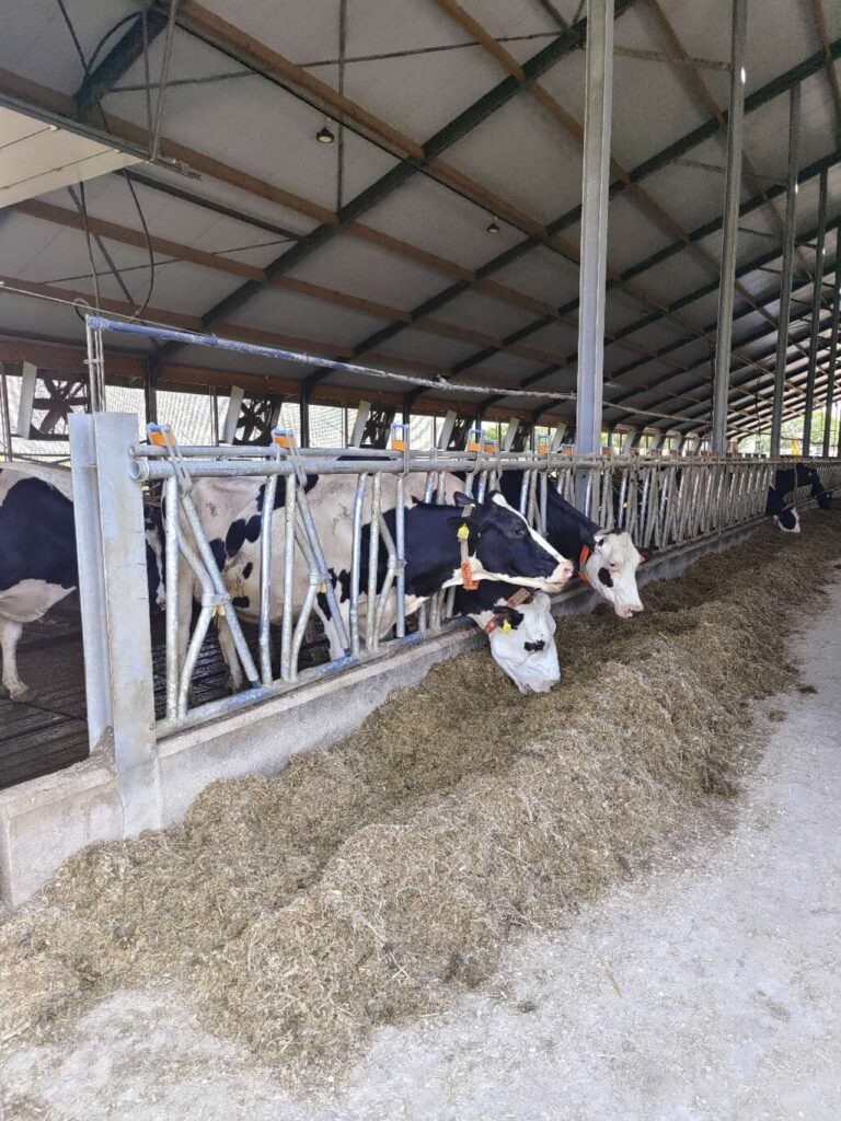 weixin image 20241006130111